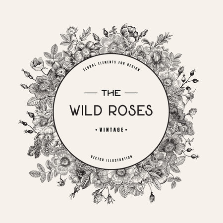 Round frame with wild roses. Vector vintage floral illustration. Black and white のイラスト素材