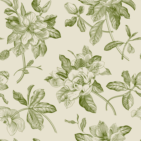 Magnolia grandiflora. Floral seamless pattern. Vector vintage botanical illustration. Greenのイラスト素材