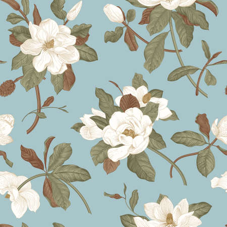 Magnolia grandiflora. Floral seamless pattern. Vector vintage botanical illustrationのイラスト素材