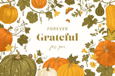 Harvest. Pumpkins. Autumn botanical illustration. Forever grateful for you. Thanksgiving card.の素材 [FY310177098134]