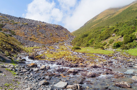 Beautiful view of a mountain river