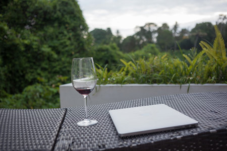 Glass of red wine on sunbed near laptop. Freelanceの写真素材