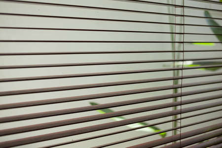 Grey louvre shutter. Blinds streaming sun light.の写真素材