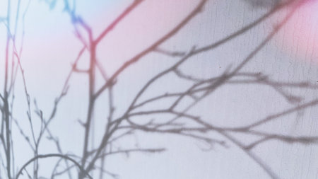 Defocused tree shadow on white textured wall. Pink toning. Interior design solution background....