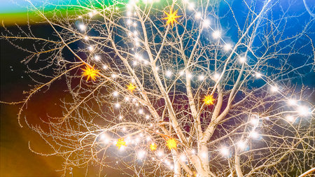 Abstract background with light lens flare effect. Prism glow. Christmas wallpaper. Xmas ornaments on bare tree in winter. Glowing stars. Soft focus. film grain pixel texture. Defocused.の写真素材