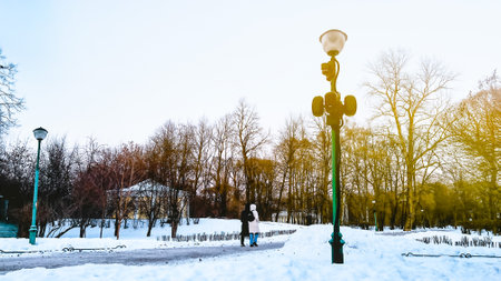 City landscape. Urban winter scene at snowy park. Street lamp post and bare trees. Background of winter nature with copy space. Film grain texture. Soft focus. Blurの写真素材
