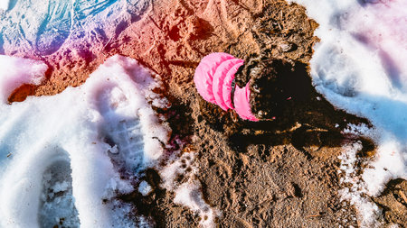 Funny toy poodle puppy wearing pink jacket sitting on sand in winter. Cute small black dog on snowy...