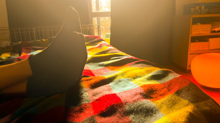 Man relaxing at home. Male feet on bed with checkered plaid against sunlight. Cozy room for...