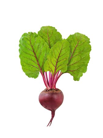 Beetroot isolated. Fresh raw beet with green leaves isolated on white backgroundの写真素材