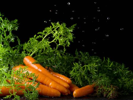 Bright raw carrots with green foliage on a black background and water drops on topの写真素材