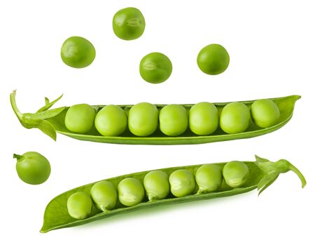 Green pea open pod with seeds isolated on white backgroundの写真素材