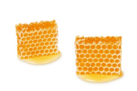 Isolated bee honey slice. Two honeycomb piece isolated on white background.の写真素材