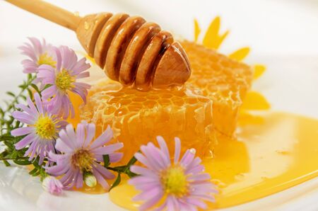 Honeycomb with wooden dipper and purple autumn flowers, close-upの写真素材