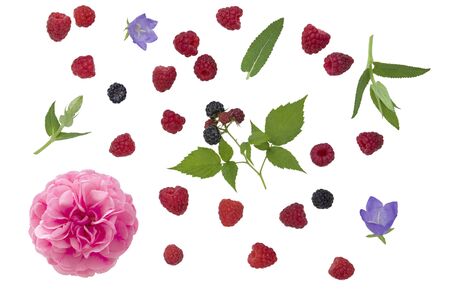 Raspberry berries, rose flower and BlackBerry with leaves isolated on white backgroundの写真素材