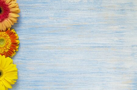 Orange summer flowers on blue wooden background, copy space, flat layの写真素材