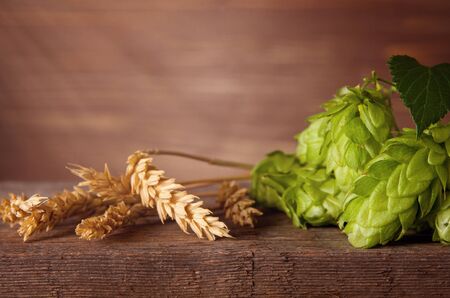 Barley ear and hops green cones on wooden dark table background with copy spaceの写真素材