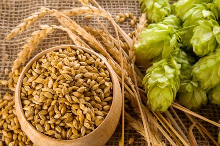 Barley raw grains in wooden bowl, wheat ears and hops green cones on burlap background as ingredient for beer brewing, close-upの写真素材