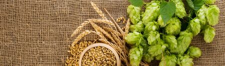 Brewing ingredients. Barley raw grain in wooden bowl, wheat ears and hops green cones on burlap background with copy space, wide panorama format for banner or frame.の写真素材