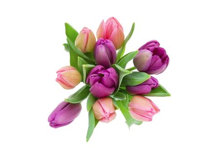 Pink and purple Tulip bouquet with green leaves isolated on white background, top viewの写真素材