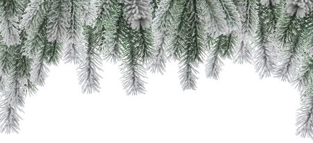 Winter Christmas snow fir tree branch arch or frame isolated on white backgroundの写真素材