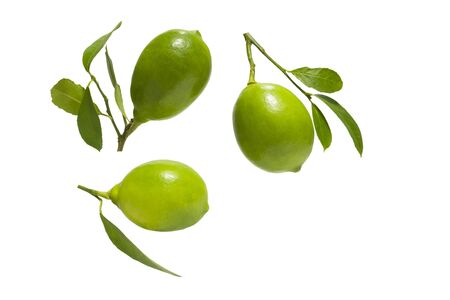 Green lime with leaf isolated on white backgroundの写真素材