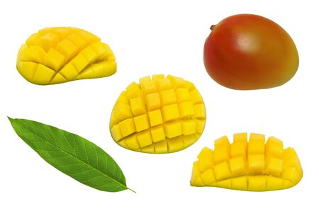 Set of mango fruit, mango slices and leaf isolated on white background.の写真素材