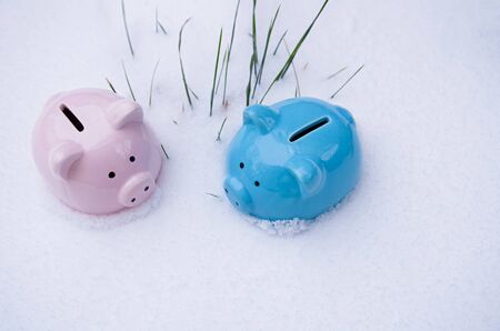 Piggy Bank in the snow, winter time, Christmasの写真素材