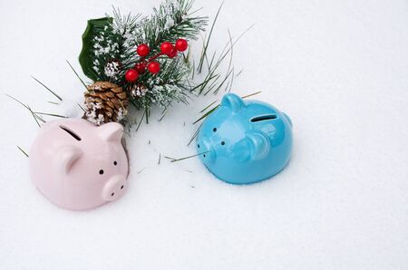 Two colorful piggy banks lie on the snow with a spruce branch and red berries, the concept of saving moneyの写真素材