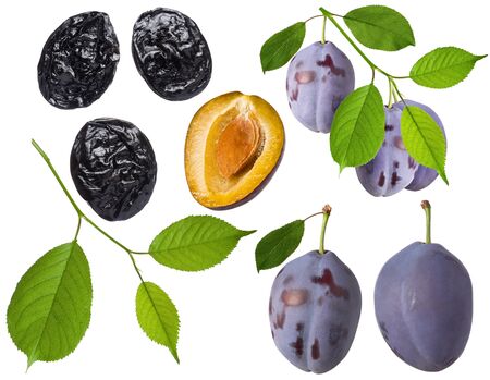 Plum fruit isolated. Set of whole fresh prune, half, green leaf on branch and dried plum on white background as detail for packing designの写真素材