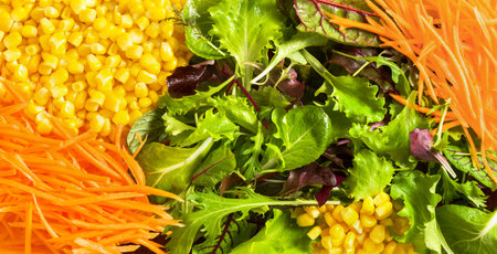Fresh juicy green lettuce, corn, carrot for vegetarian nutrition and diet, top viewの写真素材