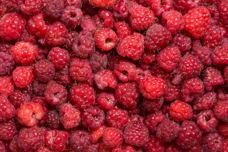Red fresh raspberry berry background