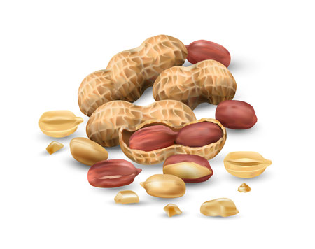 Peanuts in vector 3D illustration realistic. For packaging with peanut butter, nut mix. Vegetable protein for vegetarians, a useful product.のイラスト素材