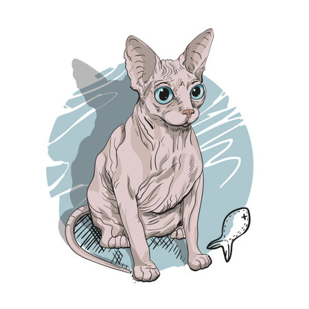 Sphynx cat drawn for prints on posters, t-shirtsのイラスト素材