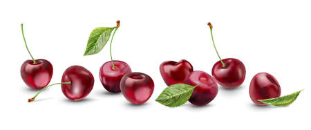 Realistic cherry with fresh leaves, red juicy on a white background for design.のイラスト素材