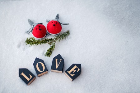 Pair of two birds in love on the snowの写真素材