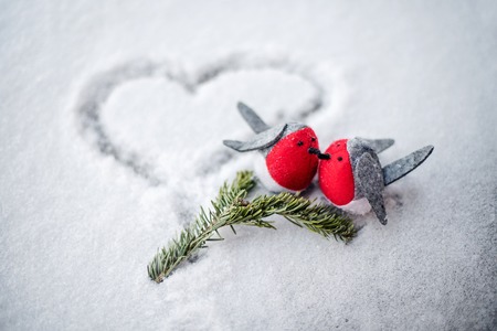 Pair of two birds in love on the snowの写真素材