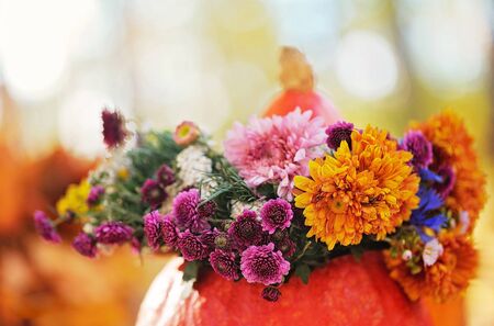 autumn still life with pumpkin and lilac flowersの写真素材