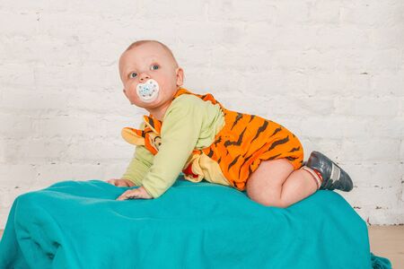 A little baby in Tiger suitの写真素材