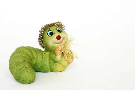 Green caterpillarの写真素材