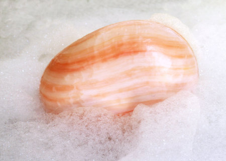 toilet soapの写真素材