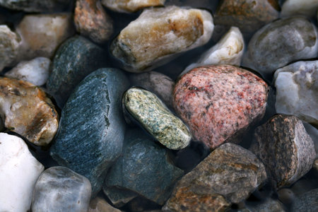 shingle