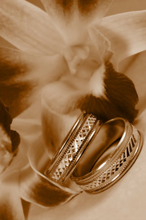 Wedding rings and beautiful orchid  の写真素材