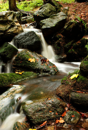 Mountain streamの写真素材