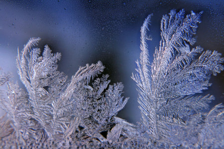 flake - frostの写真素材