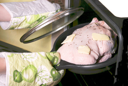raw duck の写真素材