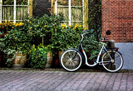 bicycle from Holland の写真素材