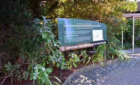 Whakarewarewa - abbreviation, completely same it sounds like Te Whakarewarewatanga O Te Ope Taua A Wahiao, and means "rebellion Vahiao warriors." New Zelandiya.Vsego are more than 500 mud pools and 60 geyzerov.Samy large geyser - Pohutu, he can shoot the の写真素材