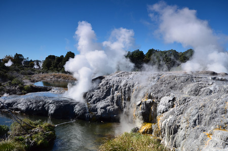 Whakarewarewa - abbreviation, completely same it sounds like Te Whakarewarewatanga O Te Ope Taua A Wahiao, and means "rebellion Vahiao warriors." New Zelandiya.Vsego are more than 500 mud pools and 60 geyzerov.Samy large geyser - Pohutu, he can shoot the の写真素材