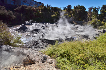 Whakarewarewa - abbreviation, completely same it sounds like Te Whakarewarewatanga O Te Ope Taua A Wahiao, and means "rebellion Vahiao warriors." New Zelandiya.Vsego are more than 500 mud pools and 60 geyzerov.Samy large geyser - Pohutu, he can shoot the のeditorial素材