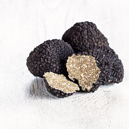 Black truffles on white background. Copy space.の写真素材